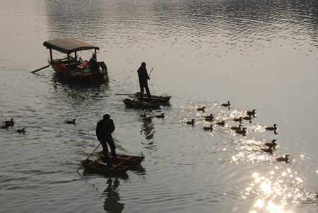 河南潢川：人歡魚(yú)躍(組圖)