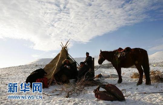 新疆阿勒泰百萬(wàn)牲畜大轉(zhuǎn)場(chǎng)