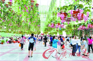 南沙新區(qū)至深圳機(jī)場擬建海底隧道