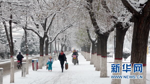 “暖冬”漸行漸遠(yuǎn) 全球變暖暫時停滯了嗎