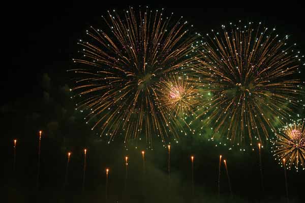 大連絢麗煙花迎新春[組圖]