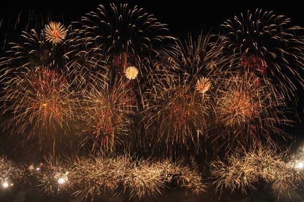 大連絢麗煙花迎新春[組圖]