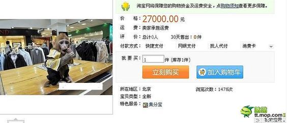 能買猴子當(dāng)寵物 人類已經(jīng)無法阻止網(wǎng)購了