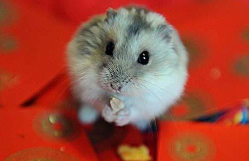 15大最奇怪的機(jī)場(chǎng)命名