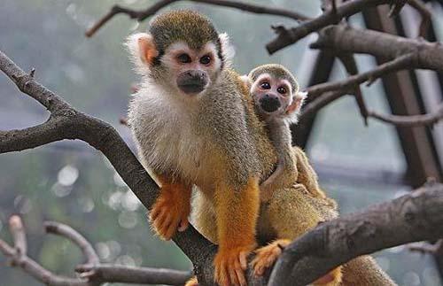 15大最奇怪的機(jī)場命名