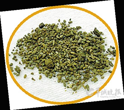 盤點(diǎn)動(dòng)物糞便6大妙用:抹香鯨糞便可做香水