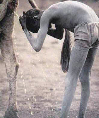 盤點(diǎn)動(dòng)物糞便6大妙用:抹香鯨糞便可做香水