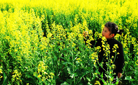 河南商城縣:鄉(xiāng)村美景如畫來 (組圖)