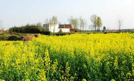 河南商城縣:鄉(xiāng)村美景如畫來 (組圖)