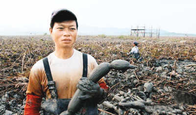 《舌尖上的中國(guó)》一闋純正的田園牧歌