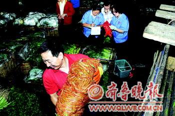 青島建成肉菜追溯體系 和濟(jì)南濰坊數(shù)據(jù)共享