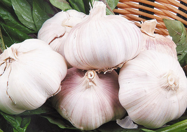 細數(shù)8種最有益的“難吃”食物