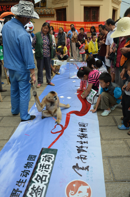 翠湖挽留熊貓活動(dòng)最火爆