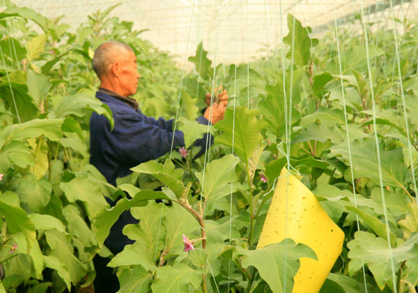 生態(tài)農(nóng)業(yè)，生態(tài)運(yùn)城