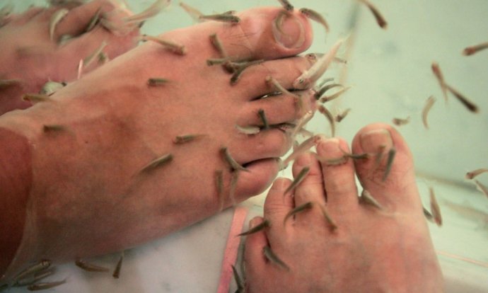 令人瞠目結(jié)舌的全球另類療法