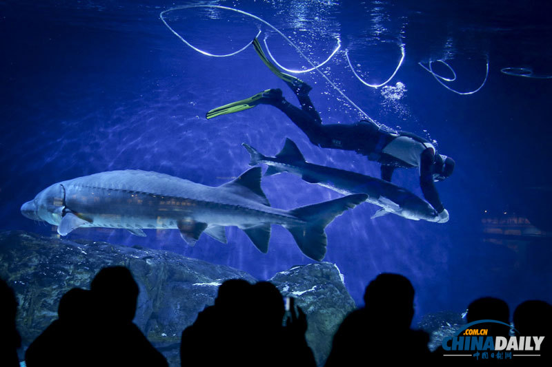 《中國(guó)日?qǐng)?bào)》一周圖片精選:12月15日-12月21日