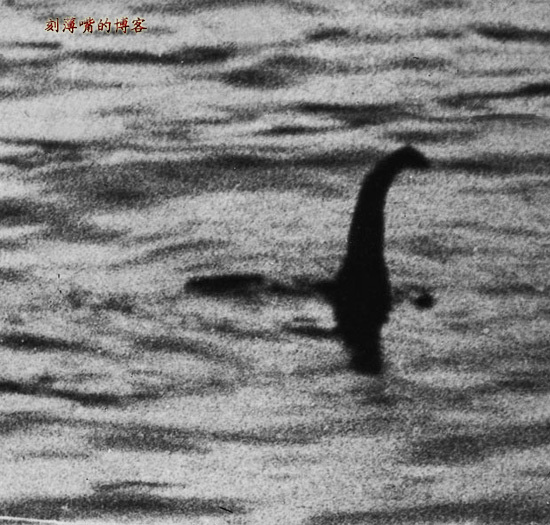 臺(tái)灣外星人疑造假 圖揭歷年神秘生物騙局