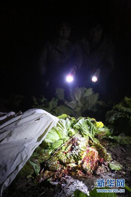 湖南新化一小學(xué)校長(zhǎng)勇斗歹徒以身殉職