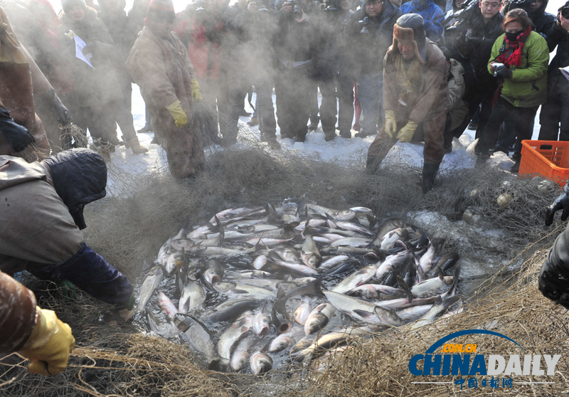 沈陽棋盤山首屆冬捕節(jié)開網(wǎng)捕魚