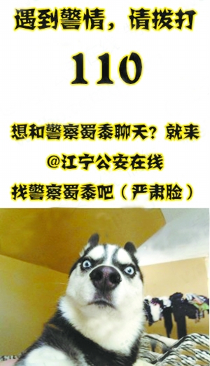 警察“蜀黍”爆笑賣萌帖 接電話警察比元芳還要忙