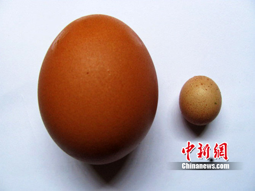 對(duì)抗霧霾天：五大食物助你提高抵抗力(組圖)