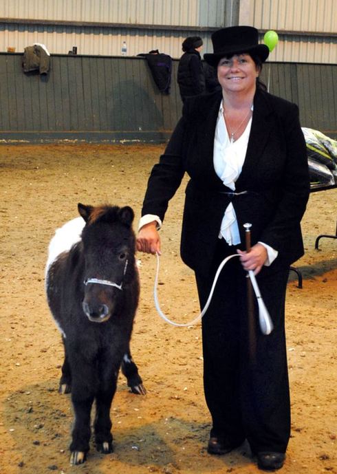 小馬被寵壞 與主人同住室內(nèi)、愛看電視(組圖)