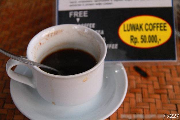 盤點(diǎn)動(dòng)物糞便的奇妙用途