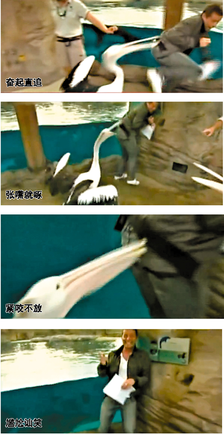 盤點直播節(jié)目的失控瞬間