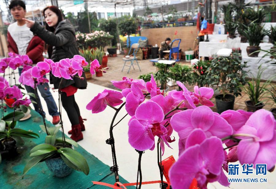 [圖集·年的味道]“紅紅火火”過大年