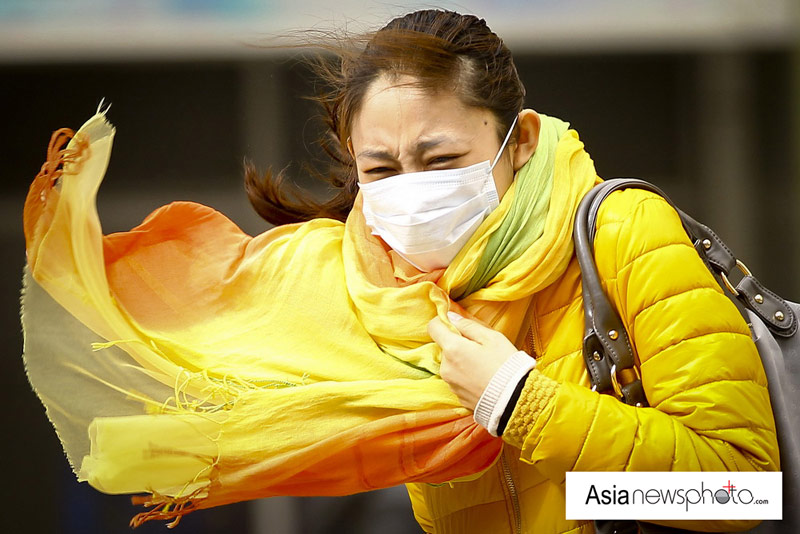 中國(guó)日?qǐng)?bào)一周圖片精選:2月23日-3月1日