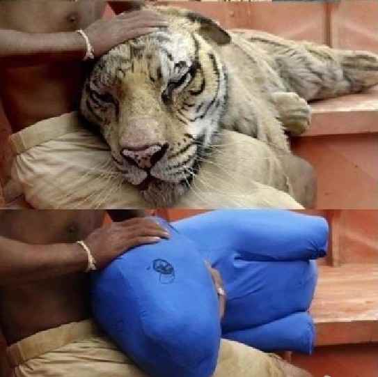 如果電影沒有特效，這些大片還能看嗎？