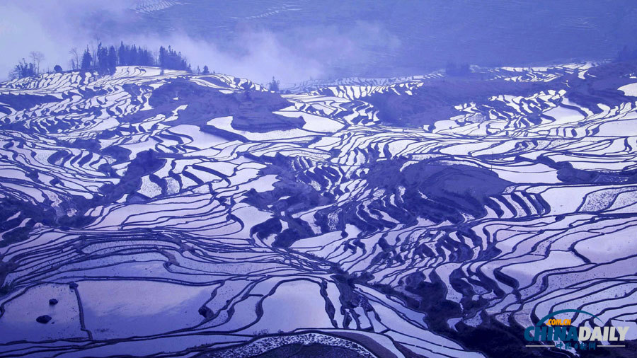 聚焦美麗中國(guó)之“春天在哪里”