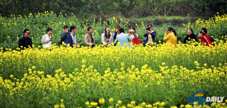 聚焦美麗中國之“春天在哪里”