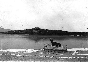 頤和園的牛尾巴斷而復(fù)續(xù) 組圖