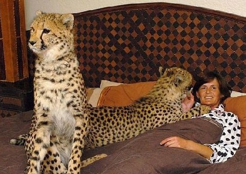 揭秘易裝癖男士的瘋狂夜生活 盤(pán)點(diǎn)令人震驚的怪癖