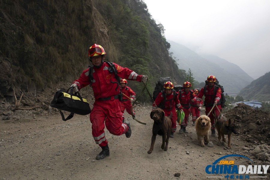 中國日報聚焦蘆山地震之救援篇