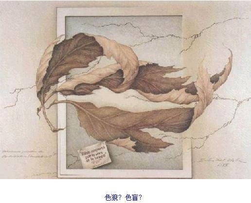 瘋狂的圖片！ 測測你的心理和眼力