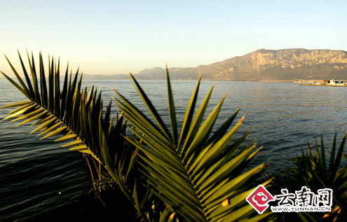 昆明春常在 美景處處現(xiàn)[組圖]