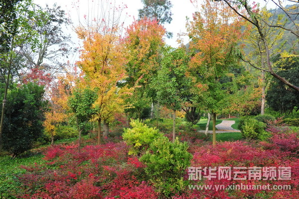 神奇九鄉(xiāng)（組圖）