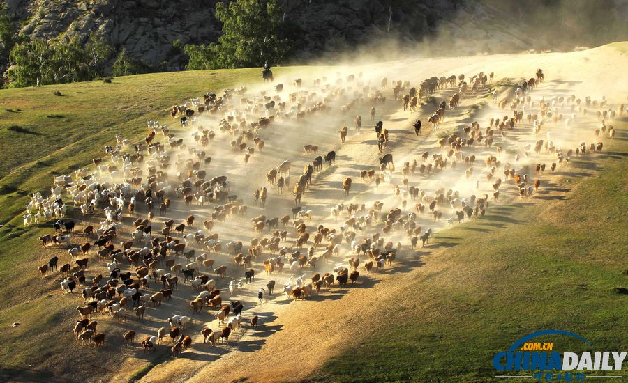 中國(guó)日?qǐng)?bào)一周圖片精選：世界獻(xiàn)血者日