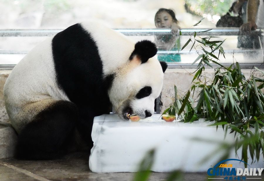 中國(guó)日?qǐng)?bào)一周圖片精選：6月15日—21日