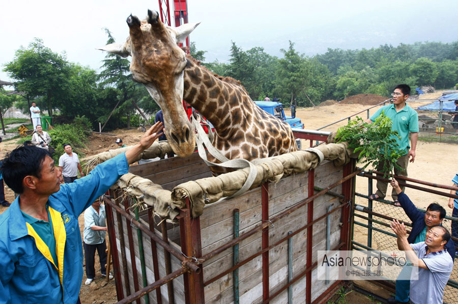 中國(guó)日?qǐng)?bào)一周圖片精選（6月22日—28日）：韓國(guó)首位女總統(tǒng)訪(fǎng)華