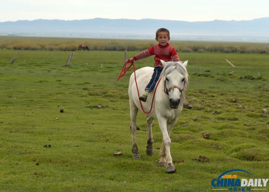 新疆巴里坤：草原牧羊人家盡顯游牧民俗