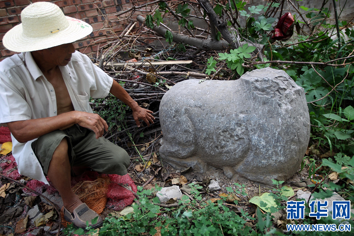 洛陽孟津疑似李煜墓引關(guān)注 專家稱證據(jù)不足無法確認