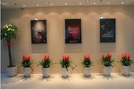 銘藏軒品牌發(fā)展 收藏品行業(yè)進入圈地時代