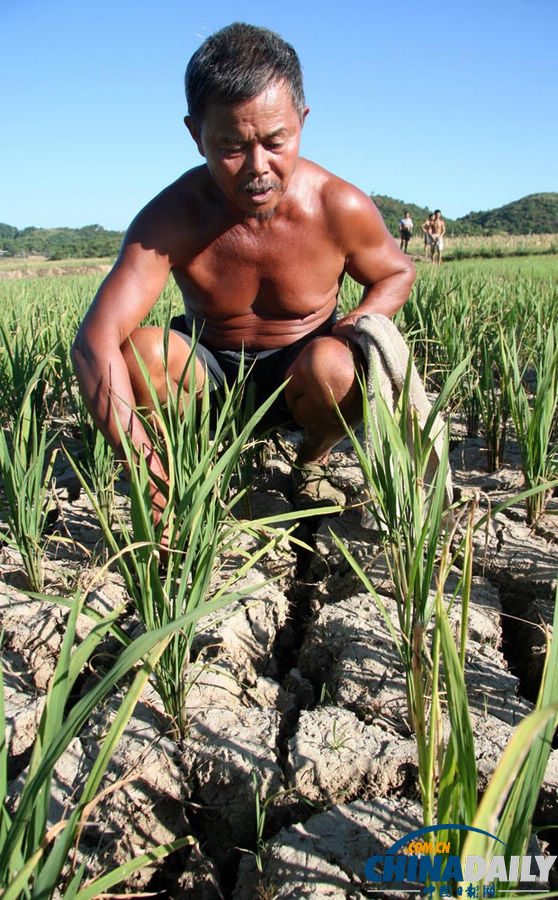 《中國日報(bào)》一周圖片精選:7月20日-7月26日