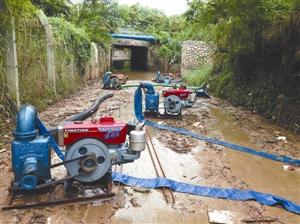 還原深圳女司機(jī)涵洞溺亡過程 專家:本該有逃生機(jī)會(huì)