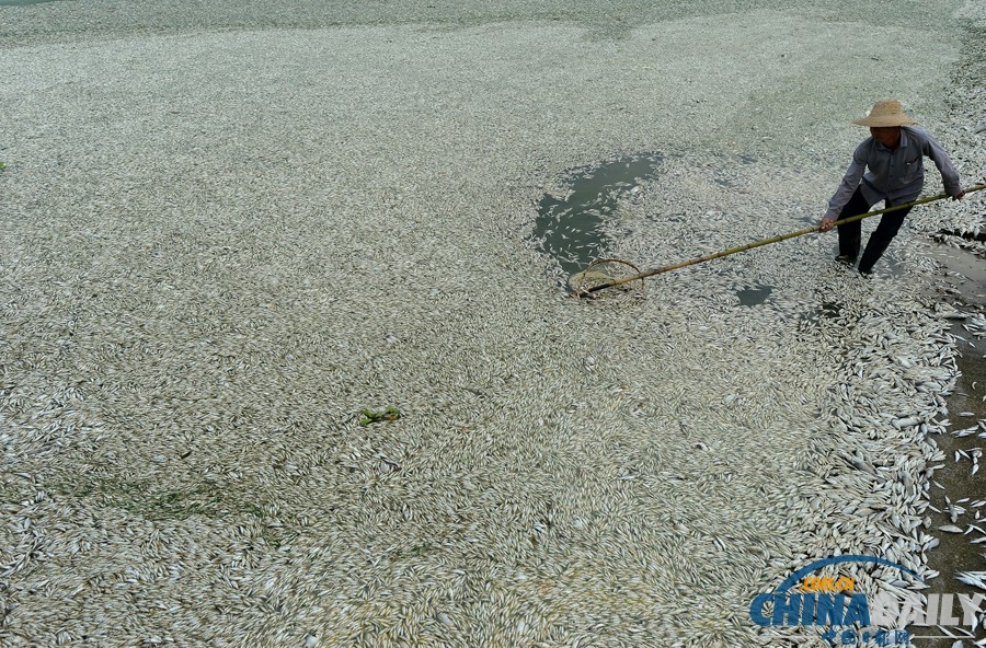 《中國(guó)日?qǐng)?bào)》一周圖片精選：8月31日-9月6日