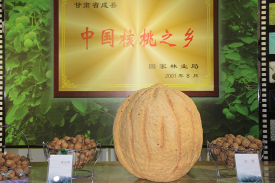 甘肅隴南成縣利用網(wǎng)絡(luò)新媒體推介做強(qiáng)核桃產(chǎn)業(yè) 促進(jìn)農(nóng)民增收