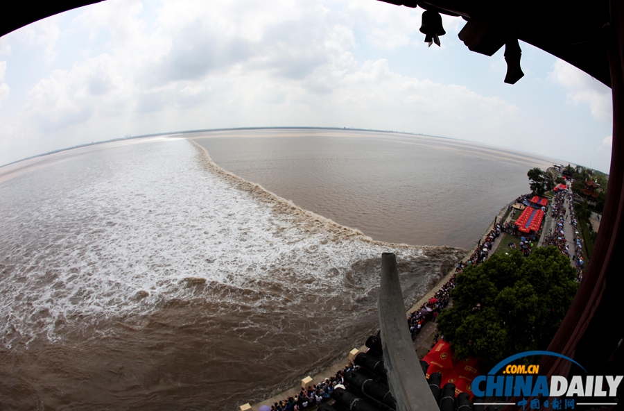 杭州：“天兔”助力 錢(qián)江潮水更“兇猛”